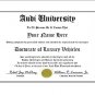 Diploma for Audi luxury vehicle owner