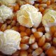 Mushroom Popcorn