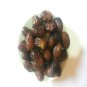 Date Palm Tree Seeds New 100 PCS BOUFKOUS-BOVKOS Nuts Origin Desert Oasis Moroco