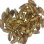 Date Palm Tree Seeds New 100 PCS BOUFKOUS-BOVKOS Nuts Origin Desert Oasis Moroco