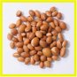 30pcs Argania Spinosa Seed Maroc Argan Tree Graines Nouvelle RÃ©colte Rare