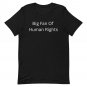 Big Fan of Human Rights Shirt Comfort Colors Equality Tee Social Justice Activist T-Shirt