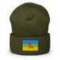 Cuffed Beanie Hat Amazigh Flag Embroidered Winter Hat Knit Patriotic Hat, Amazigh Pride