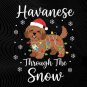 Havanese Dog Through Snow Christmas winter dog art holiday png festive pet illustration