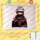 2 CALLUM ILOTT Pillow Cases