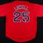 Mike Lowell Signed Boston Red Sox Jersey Inscribed "07 WS MVP" (JSA COA)