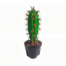 BuildMoc The Largest Cactus Carnegiea Gigantea Model Desk Accessory 740 Pieces