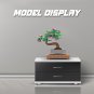 Tiny Bonsai Tree Model 54 Pieces for Kids Building Toys Sets & Packs