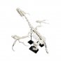 BuildMoc Dragon Fossil Gigantic Dragon Skeleton Model 617 Pieces