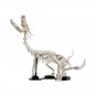 BuildMoc Dragon Fossil Gigantic Dragon Skeleton Model 617 Pieces