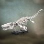Mosasaur Skeleton Dinosaur Fossils Set with Stand