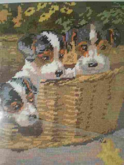 Penelope's Inquisitive Trio Tapestry/Needlepoint Kit ON SALE