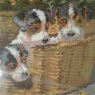 Penelope's Inquisitive Trio Tapestry/Needlepoint Kit ON SALE