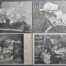 France Versailles PC p/n Cats Dogs 1902