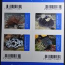 Croatia Marine Fauna 2019