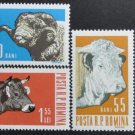 Romania Fauna Livestock Cows Pigs Sheep 1962 Romania Fauna Livestock Cows Pigs Sheep 1962