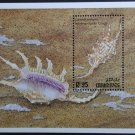 Maldives Marine Fauna Shells Shells Clams 1993 Maldives Marine Fauna Shells Shells Clams 1993