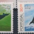 Portugal Marine Fauna 1983