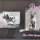 Antigua and Barbuda Dog Fauna Spaniel 2013