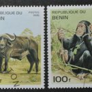 Benin Fauna Monkey Buffalo Antelope Lion 1995