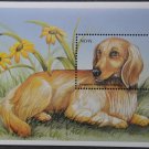 Nevis Fauna Dogs 2000