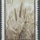 Argentina Flora Wheat Field 1954