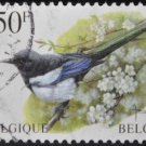 Belgium Bird Fauna 1997
