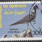 Djibouti Fauna Birds 1993