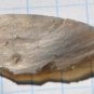 Neolithic Stone Age flint knife scraper