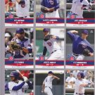 Ryan Kalish   2014 Iowa Cubs