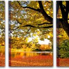 CHWF HAOLIMAI Fashion Canvas Nature Wall Art Work for Home Walls Cute Office Wal