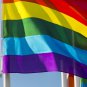 Rainbow Flag 3X5 FT LGBTQ Gay Lesbian Flags - Heavyduty Thick Polyester Nylon Do
