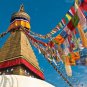 Maha Bodhi Large Buddhist Satin Wind Horse Lungta Prayer Flags 20 Pcs 10 X 11 In