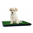 16 In. X 20 In. Puppy Potty Trainer
