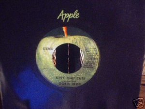 DORIS TROY Ain't That Cute   45  Apple  1970