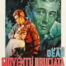 Rebel Without A Cause (1955) Italian Movie Poster