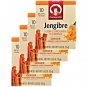 Carmencita Ginger Tea With Turmeric & Cinnamon (10 Tea Bags Box) 4 Boxes