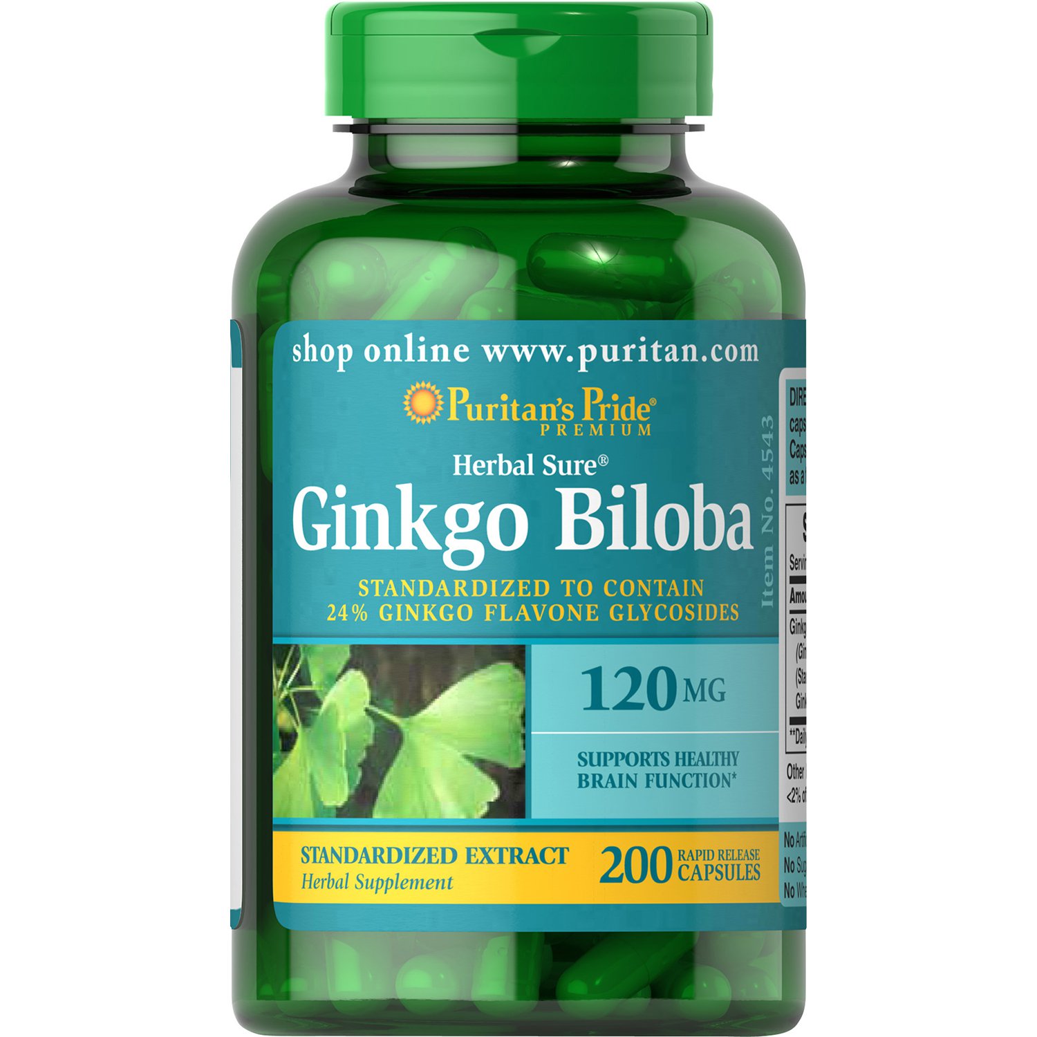 Puritans Pride Ginkgo Biloba Standardized Extract 120 mg 200 Tablets