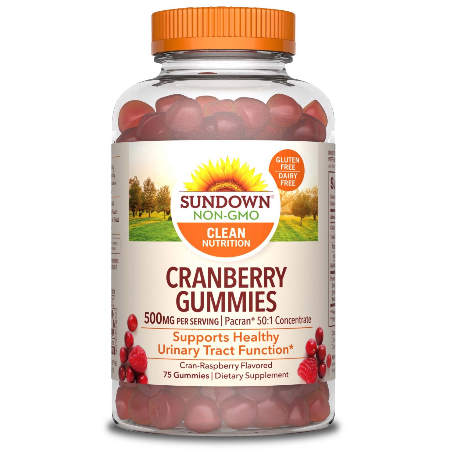 Sundown Naturals Cranberry Gummies 500 mg, 75 Count