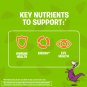 Flintstones Gummies Kids Multivitamin Plus Immunity Support, 150 Count