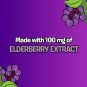 Flintstones Elderberry Gummy Immunity Support Supplements 60 Count