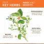 Himalaya Organic Mindcare 60 Vegetarian Capsules