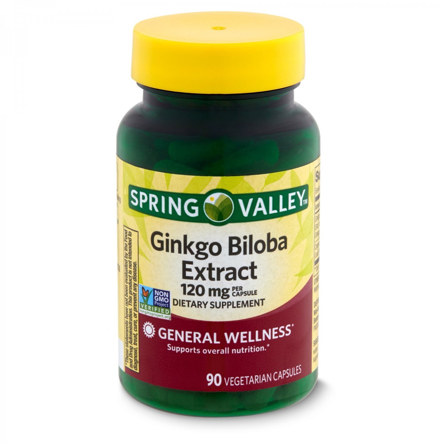 Spring Valley Ginkgo Biloba Extract Dietary Supplement 120mg 90 Vegetarian Capsules