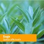 Herb Pharm Organic Sage Extract 1 oz