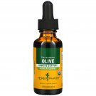 Herb Pharm Organic Olive Extract 1 oz