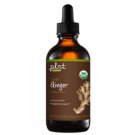 plnt Organic Liquid Ginger - Digestive Support (2 oz.)