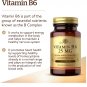Solgar Vitamin B6 - 25 MG (100 Tablets)