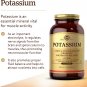 Solgar Potassium - 99 MG (250 Tablets)