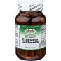 Sprouts Echinacea Goldenseal, 450 mg, 90 Veggie Caps