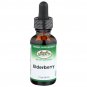 Sprouts Elderberry, 500 mg, 1 oz